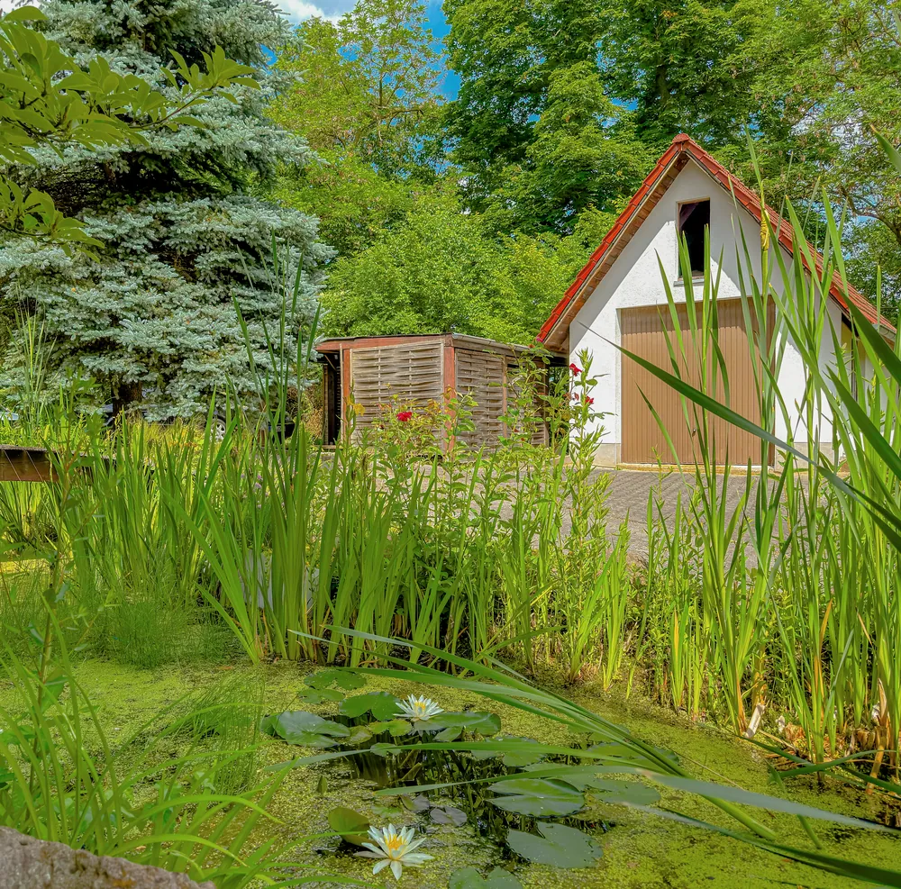 Teichanlage mit Gartenhaus