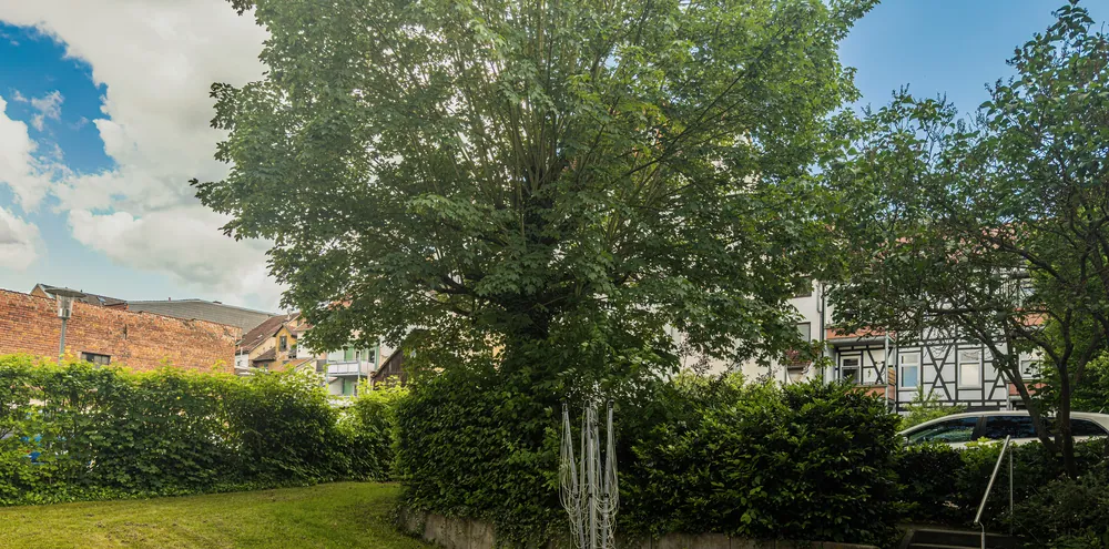 Garten hinter dem Backsteinhaus