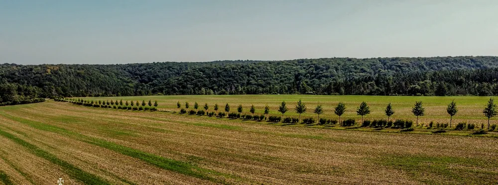 Blick über die Felder