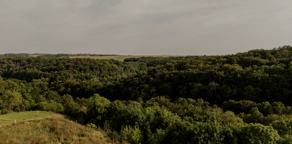 Blick vom Grundstück ins Tal